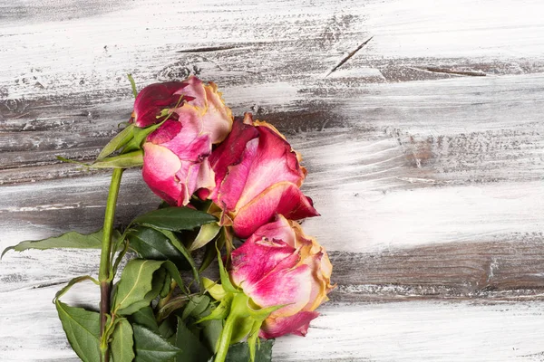 Ahşap üzerinde yükseldi