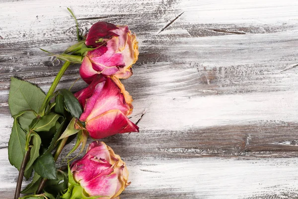 Ahşap üzerinde yükseldi