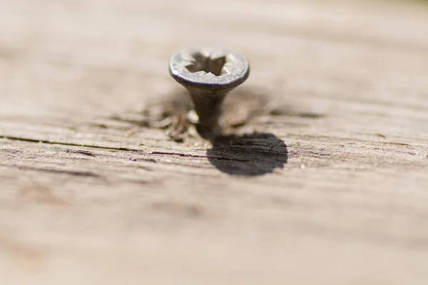 bükülmüş ağaca vida