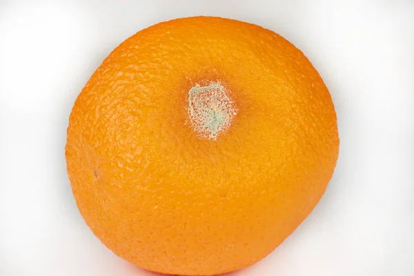 Pomarańczowy z formy — Zdjęcie stockowe