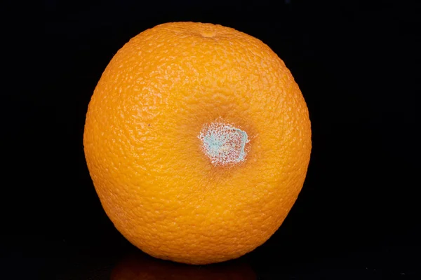 Orange mit Schimmel — Stockfoto