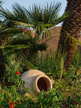 Yeşil palmiye bitkiler bitki örtüsü ve süs beyaz vazo