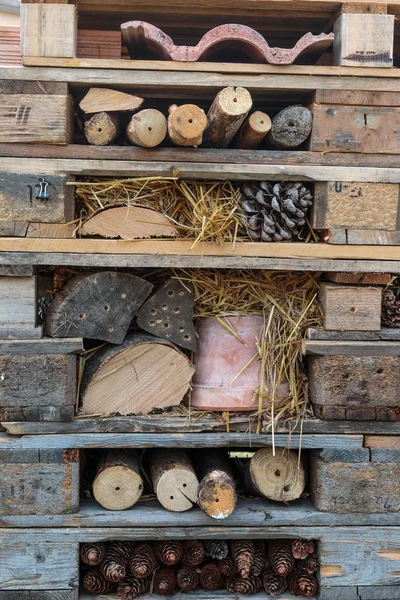 Holzpaletten stapeln sich mit Ästen, Kastanien und Tannenzapfen — Stockfoto