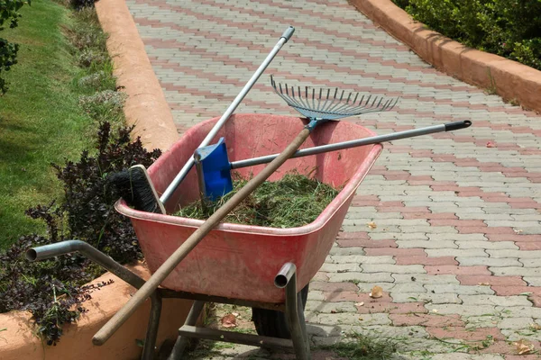 Rode kruiwagen met Rake, bezem en gras — Stockfoto