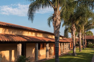 Tatil evleri Resort Near Line palmiye bitkiler ağaçları