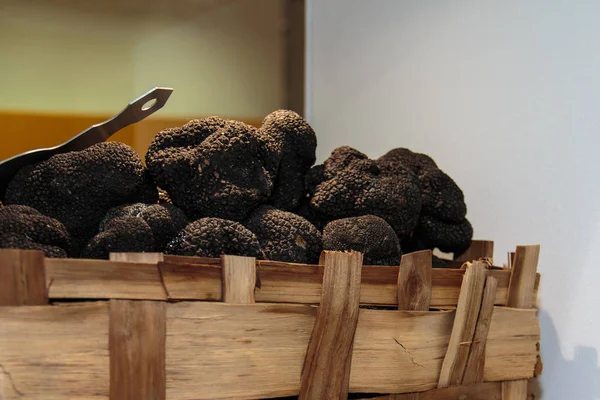 Zwarte truffels Knol, dure zeldzame paddestoel plantaardige — Stockfoto