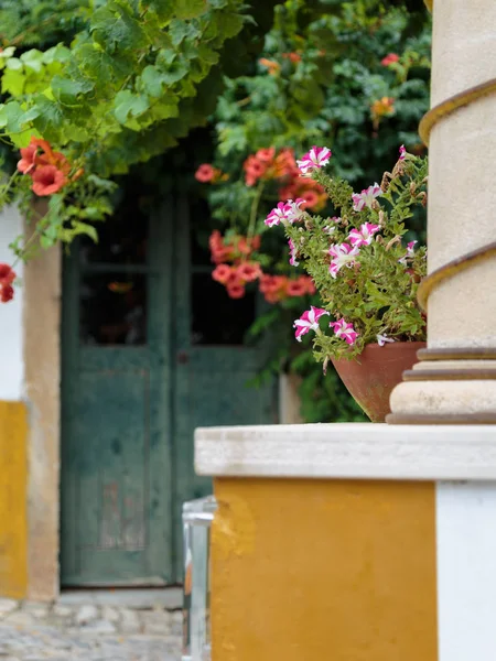 Dekorativer weißer und rosa Blumentopf und antike Tür im Hintergrund — Stockfoto