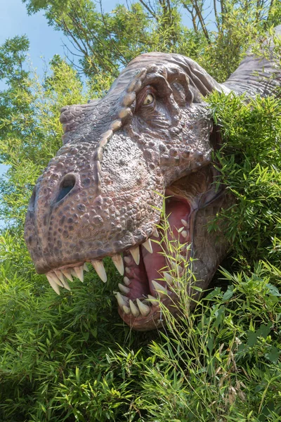 Μοντέλο κεφάλι δεινόσαυρο T-Rex μεταξύ βλάστησης μέσα σε ένα πάρκο στην Ital — Φωτογραφία Αρχείου