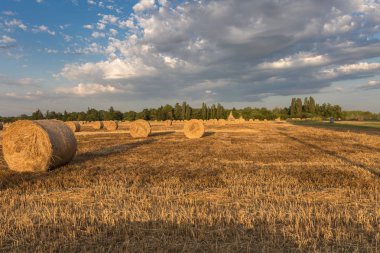 Güzel kırsal manzara: Altın saman balya hasat 