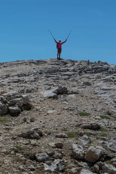 Kvinde hæve sine vandreture polakker på mål opnåelse på bjergets T - Stock-foto