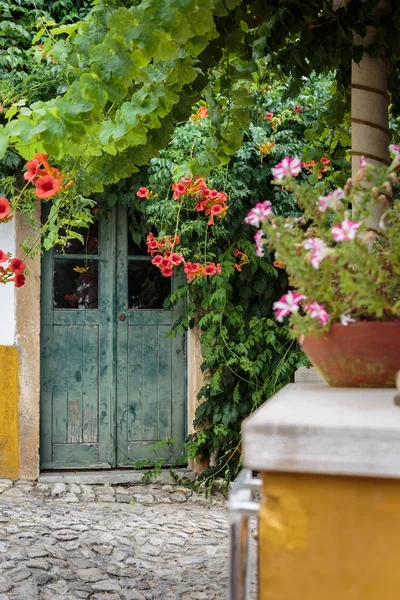 Dekorativer weißer und rosa Blumentopf und antike Tür im Hintergrund — Stockfoto