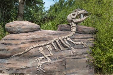 Modeli dinozor Fosili bir Park İtalya içinde