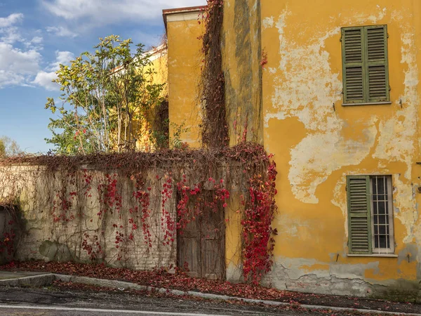 Fachada de Antigua Casa Amarilla en Parma con Vegetación Roja, Ita —  Fotos de Stock