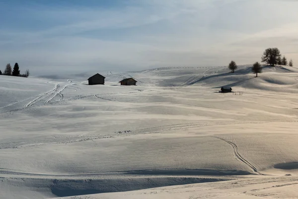 Paesaggio sulle piste da sci di montagna nella giornata di sole: neve bianca e abete — Foto Stock
