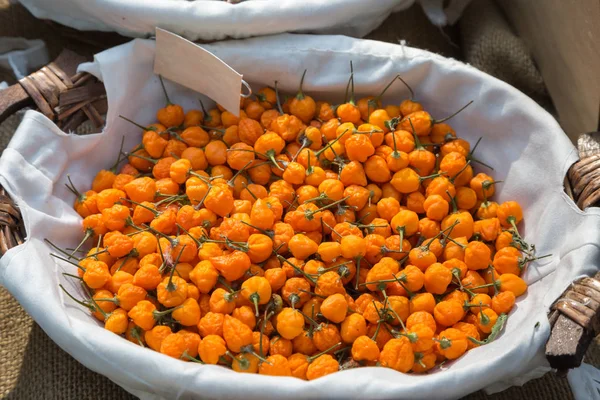 Orange Dried Chili Peppers inside White Bowl — Stock Photo, Image