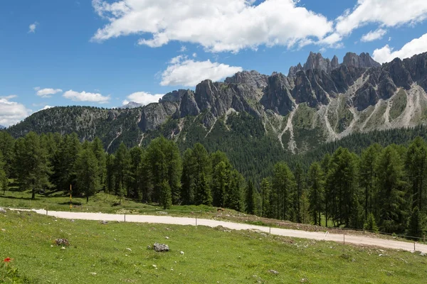 Spaserende sti gjennom Meadows, italienske Alpefjell i bakgrunnen – stockfoto