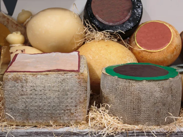 Wheels of Pecorino Cheese Exhibited in Delicatessen — Stock Photo, Image