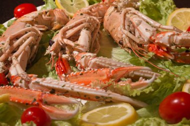 Pişmemiş turuncu ıstakoz, beyaz tepsi içinde su kabukluları.