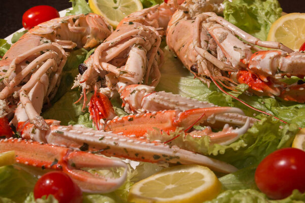 Неприготовленные оранжевые лобстеры, водные ракообразные в Белом подносе
.