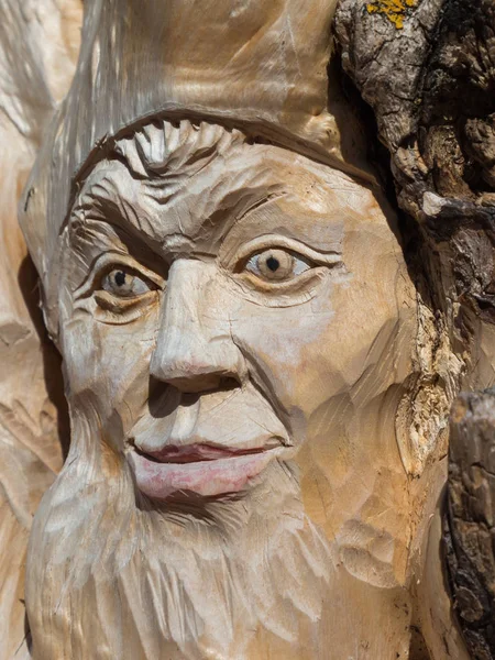 Escultura del árbol de madera: Primer plano de la cara tallada en madera, hecho a mano — Foto de Stock