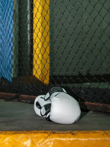 Luvas de boxe de couro branco no chão dentro da gaiola MMA — Fotografia de Stock