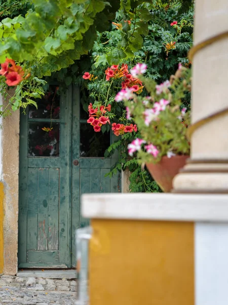 Dekorative weiße und rosa Blumentopf und antike Tür im Hintergrund — Stockfoto