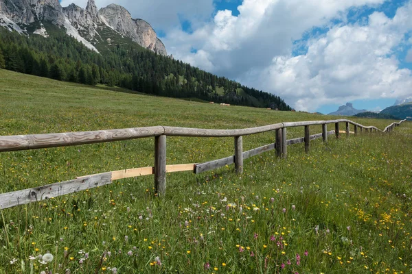 Деревянный забор, зеленые пастбища и Альпы Доломиты на заднем плане, Италия — стоковое фото
