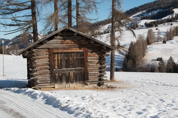 Küçük ahşap kulübe arasında ağaçlarda kış günü dağlarda taze kar ile — Stok fotoğraf