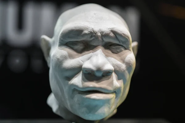 Reconstruction of the Head of Homo Erectus Adult Man — Stock Photo, Image