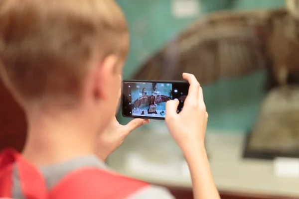 Ung pojke tar foto med mobiltelefon i museet: Fylld Raptor Stockbild