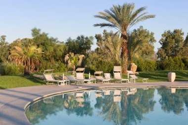 Açık Yüzme Havuzu, Palmiye Ağaçları ve Beyaz Plaj Salonları.