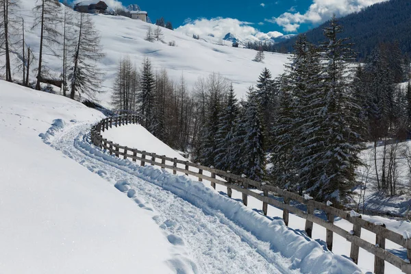 Wooden Fence Snow Covered Firs Snowy Mountain Panorama — Stock Photo, Image