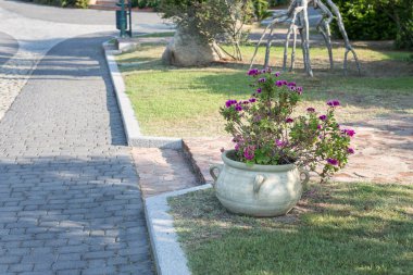 Park 'ın içindeki taşta Violet Flowers' la birlikte antik dekoratif vazo.