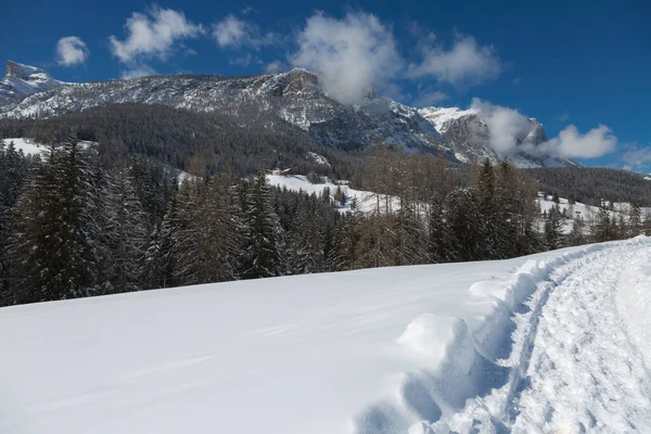 美丽的山天 白雪覆盖的冷杉 雪山全景 — 图库照片