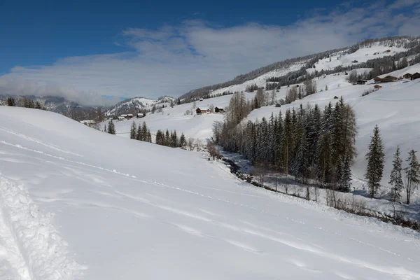 Hermoso Día Las Montañas Con Árboles Abeto Cubiertos Nieve Panorama — Foto de Stock