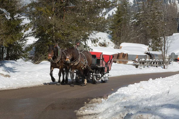 Δύο Horse Drawed Red Carriage Και Ηλικιωμένων Coachman — Φωτογραφία Αρχείου