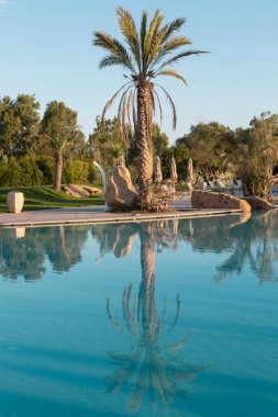 Açık Yüzme Havuzu, Palmiye Ağaçları ve Beyaz Plaj Salonları.