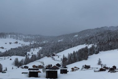 Karla kaplı firavun ağaçları ve Karlı Dağ Panoraması olan dağlar.