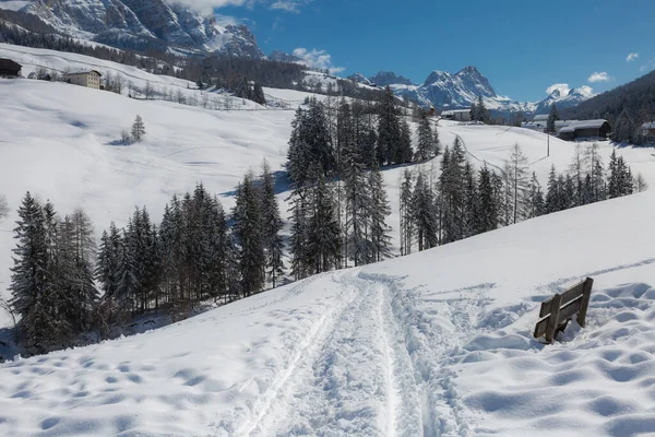 Beautiful Day Mountains Snow Covered Fir Trees Snowy Mountain Panorama — Stock Photo, Image