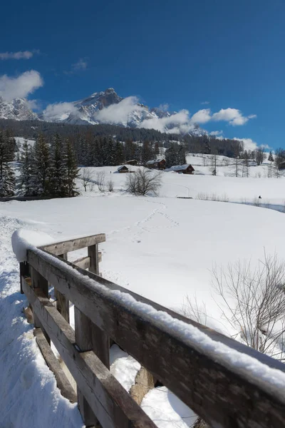 Wooden Fence Snow Covered Firs Snowy Mountain Panorama — Stock Photo, Image