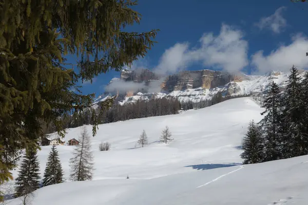 Beautiful Day Mountains Snow Covered Fir Trees Snowy Mountain Panorama — Stock Photo, Image