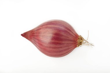 Beyaz arka plan üzerinde izole soğancık soğan