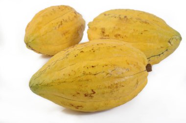 Beyaz zemin üzerine kakao pod