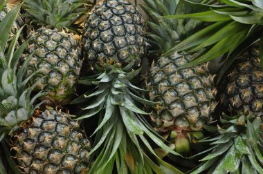 ahşap masa arka plan üzerinde olgunlaşmış ananas