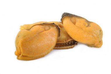 beyaz zemin üzerine soyulmuş midye