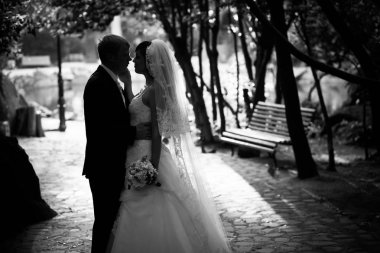 Çok önemli olay, düğün, Gelin, damat, tatil, mutluluk,