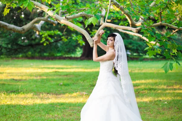 Evento muito importante, casamento, noiva, noivo, feriado, felicidade , — Fotografia de Stock