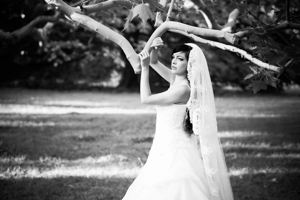 Evento muito importante, casamento, noiva, noivo, feriado, felicidade , — Fotografia de Stock