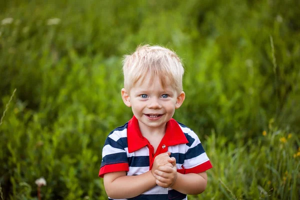 Little boy is happy, smiling, standing against a background of grass — Stock Photo, Image