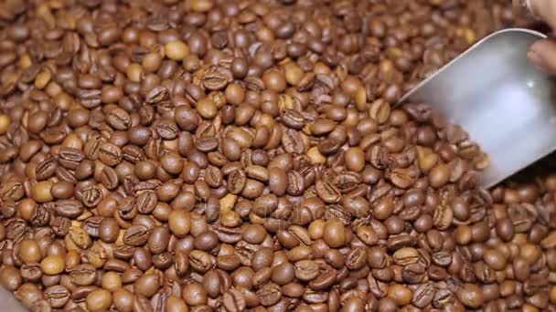 Manos de café en una bolsa, café tostado — Vídeo de stock